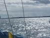 P1040396-940x198
