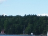 P1040473-940x198